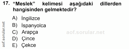Soru 17