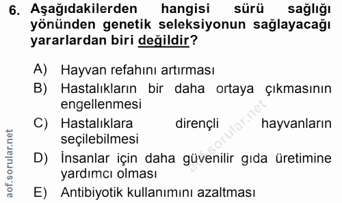 Soru 6
