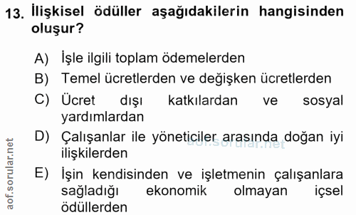 Soru 13