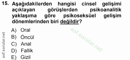 Soru 15
