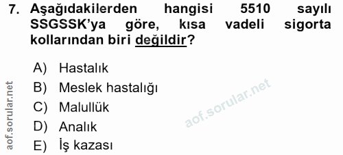 Soru 7