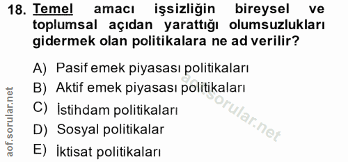 Soru 18