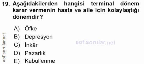 Soru 19