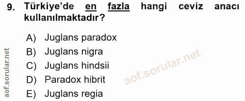 Soru 9