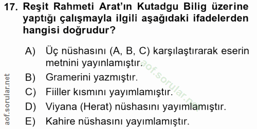 Soru 17