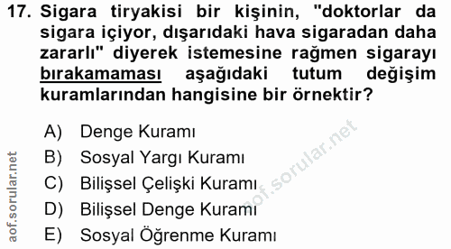 Soru 17