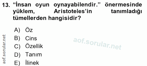 Soru 13