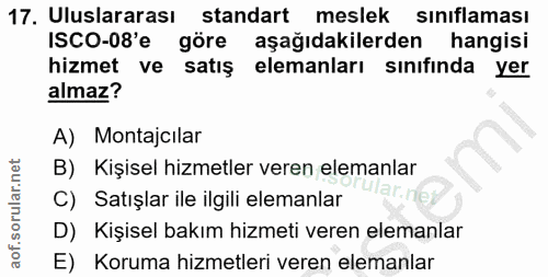 Soru 17