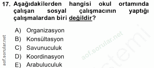 Soru 17