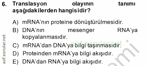 Soru 6