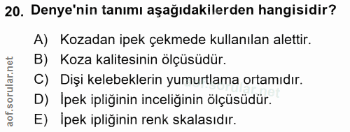 Soru 20