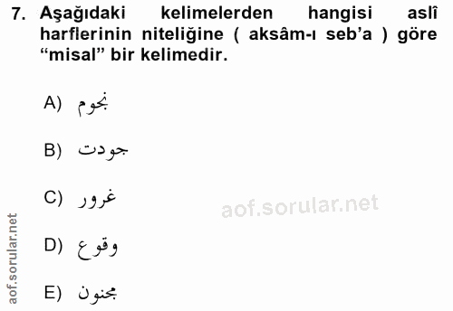 Soru 7
