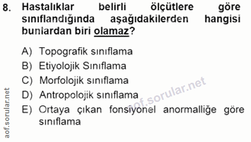 Soru 8