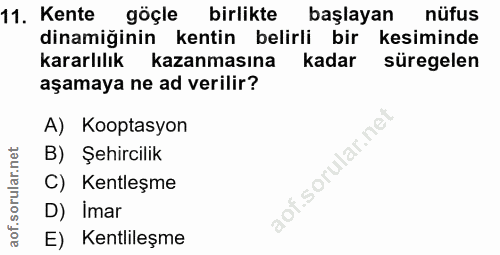 Soru 11