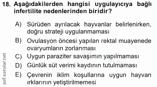 Soru 18