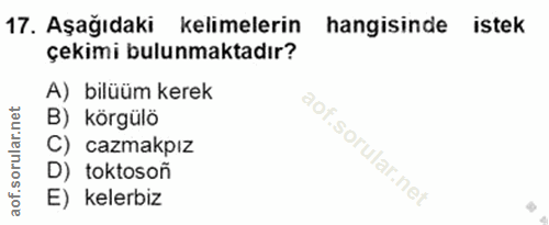 Soru 17