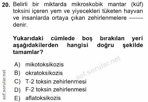 Soru 20