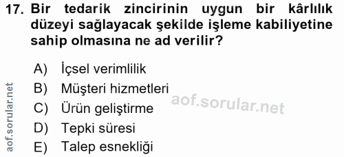 Soru 17