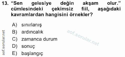 Soru 13