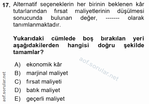 Soru 17