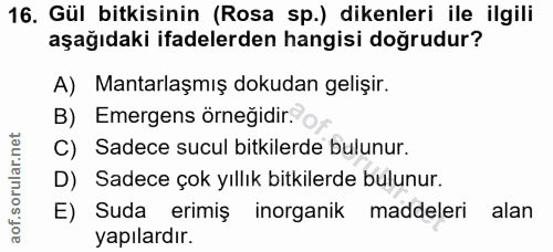 Soru 16