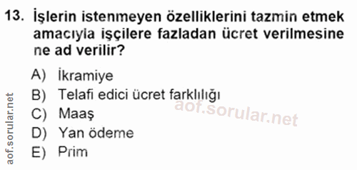 Soru 13