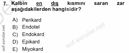 Soru 7