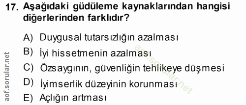 Soru 17