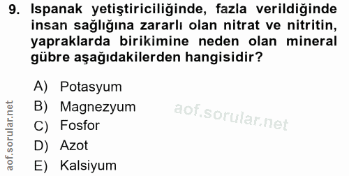 Soru 9