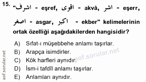 Soru 15