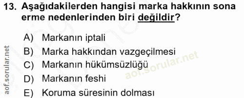 Soru 13