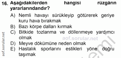 Soru 16