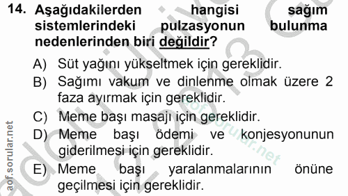 Soru 14
