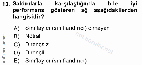 Soru 13