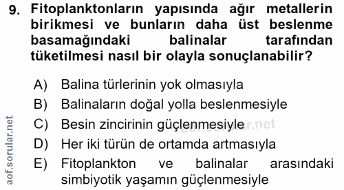 Soru 9