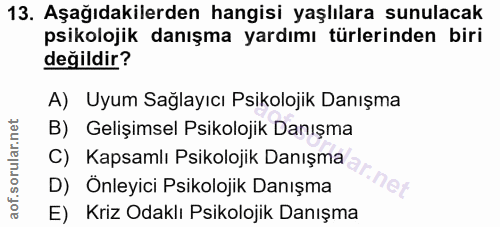 Soru 13