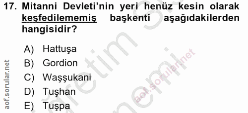 Soru 17