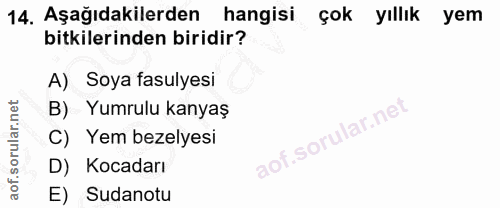 Soru 14