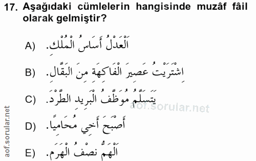 Soru 17