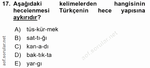 Soru 17