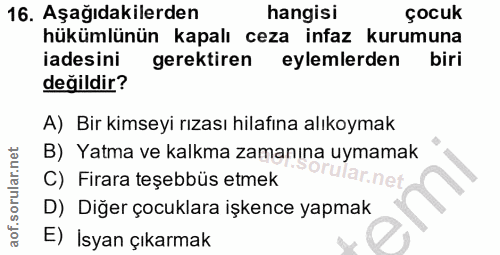 Soru 16