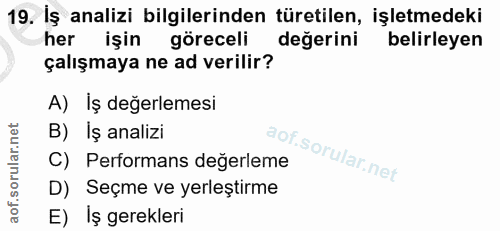Soru 19