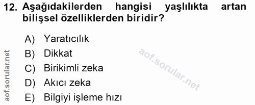 Soru 12