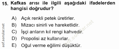 Soru 15