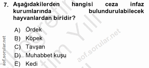 Soru 7