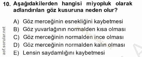 Soru 10
