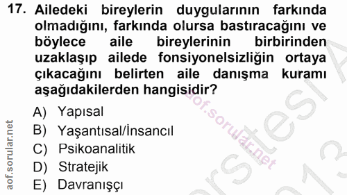 Soru 17