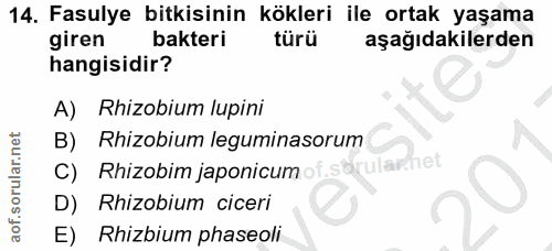 Soru 14