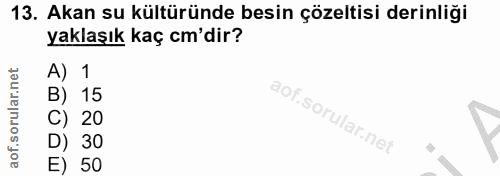 Soru 13