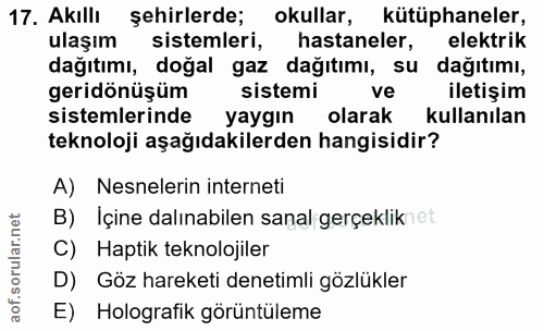 Soru 17
